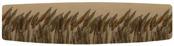 117 Blowing Wheat